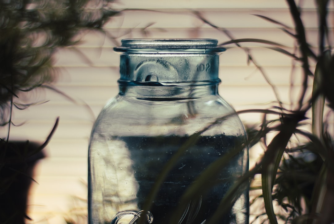a glass jar sitting on top of a table next to a plant