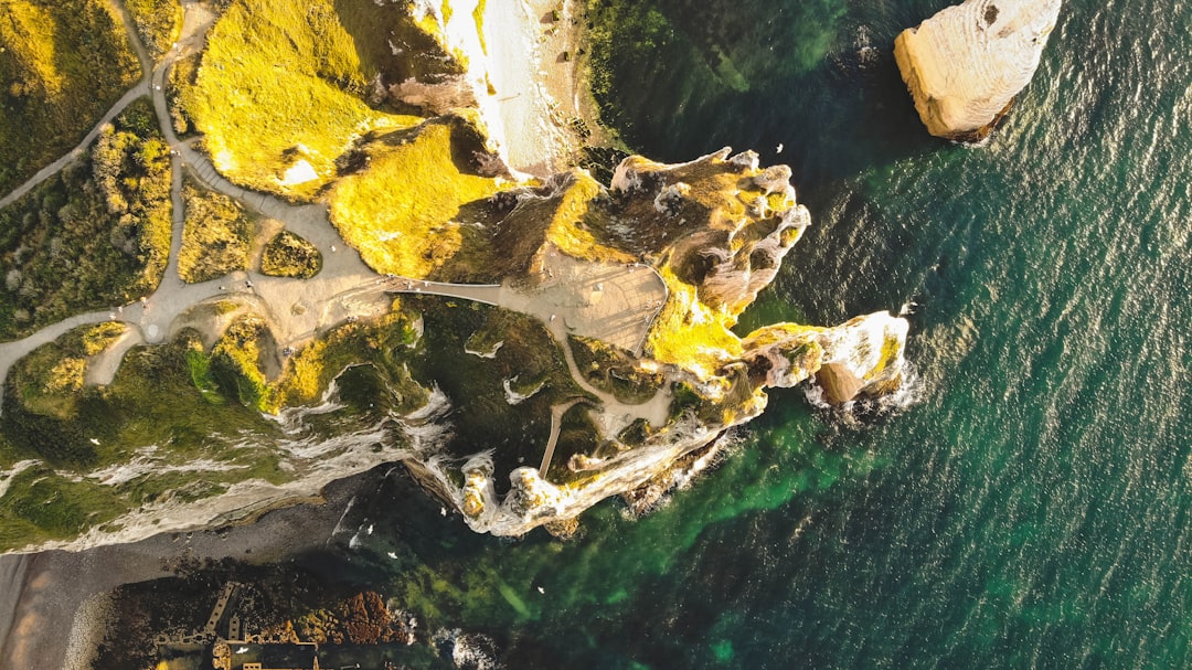 aerial view of green and brown island