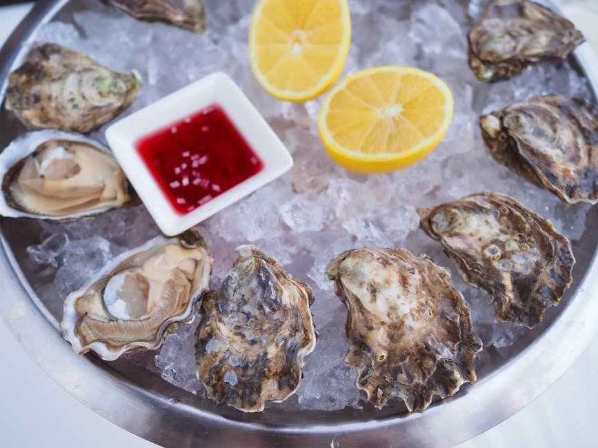 A tantalizing display of raw oysters on ice with lemon slices and red cocktail sauce.