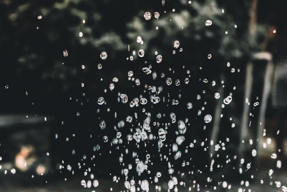 Captivating macro image of water droplets suspended in the air with a blurred forest background.