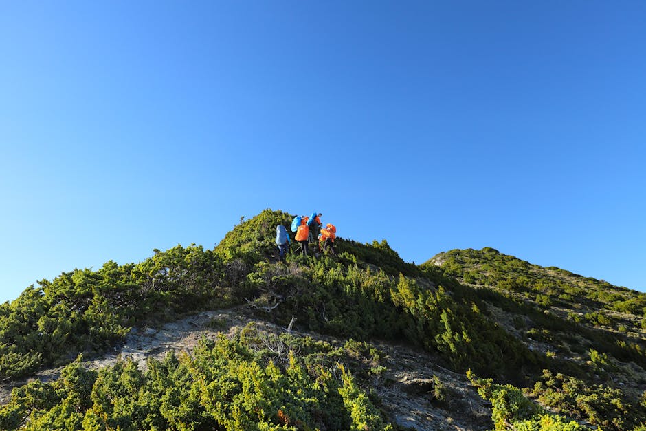 A group of hikers ascends a lush mountain ridge under a clear blue sky in Taiwan.
