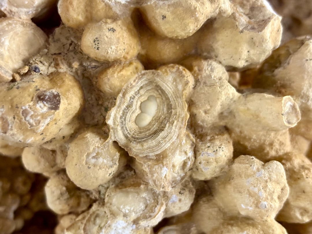 Close-up of layered geological formations with rounded shapes